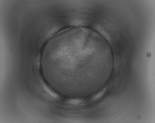 X0000092230065200709281112