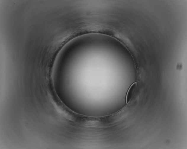 X0000092230066200709281112