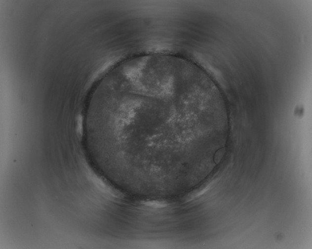 X0000092230067200709281112