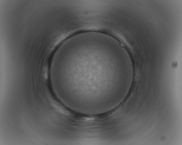 X0000092230068200709281112