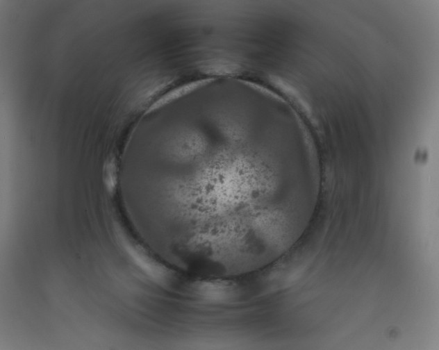 X0000092230069200709281112