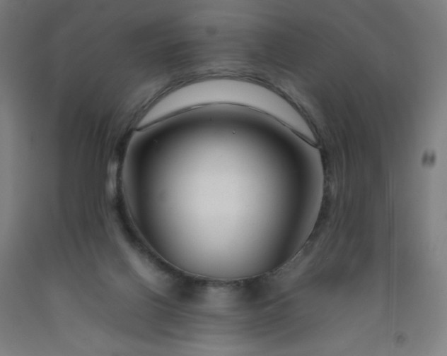 X0000092230070200709281112