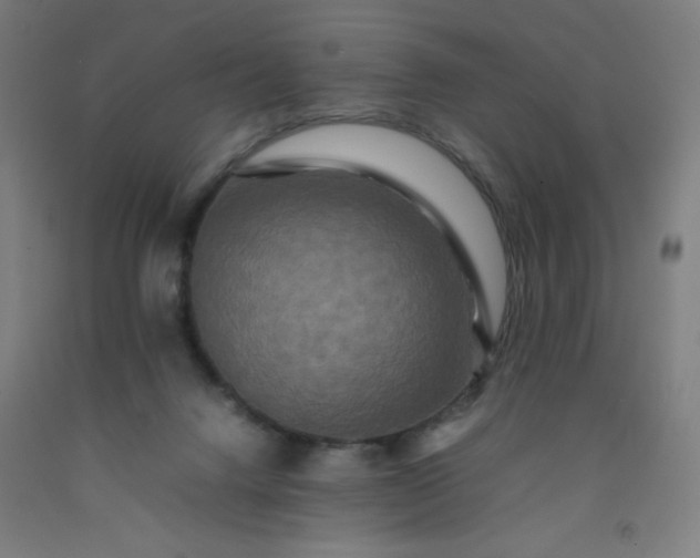 X0000092230072200709281112