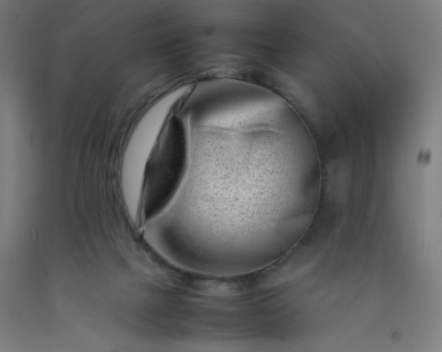 X0000092230073200709281112