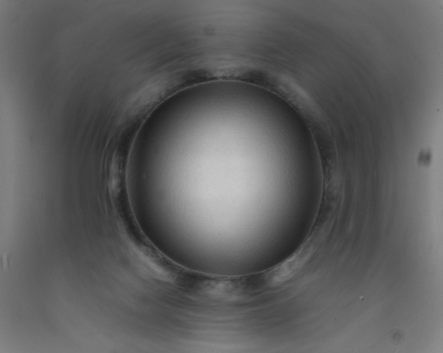 X0000092230074200709281112