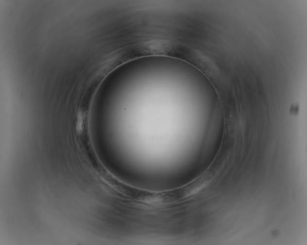 X0000092230075200709281112