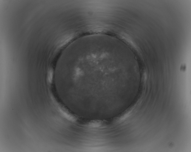 X0000092230076200709281112