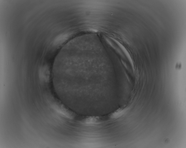 X0000092230080200709281112