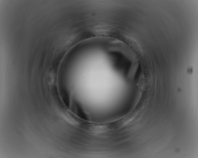 X0000092230081200709281112