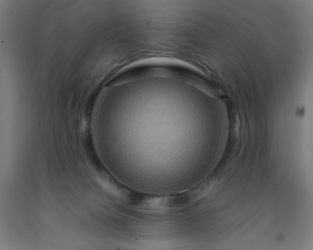 X0000092230084200709281112