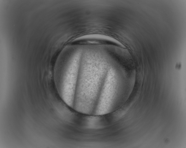 X0000092230085200709281113