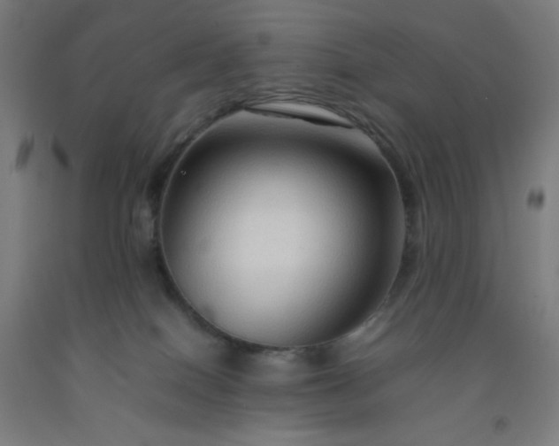 X0000092230086200709281113