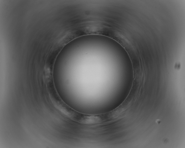 X0000092230087200709281113