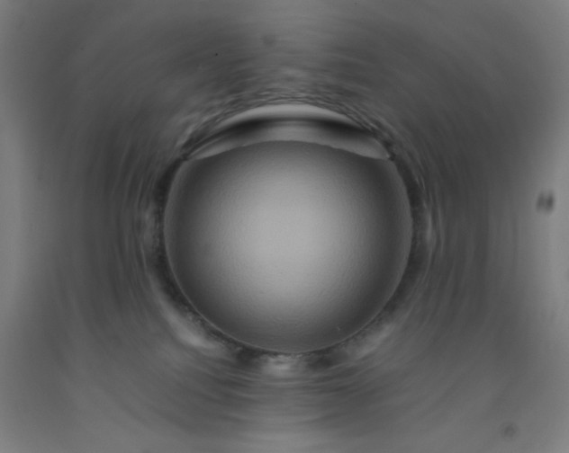 X0000092230088200709281113