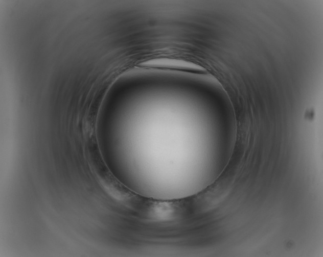 X0000092230091200709281113