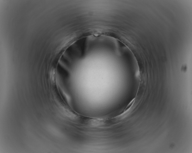 X0000092230094200709281113