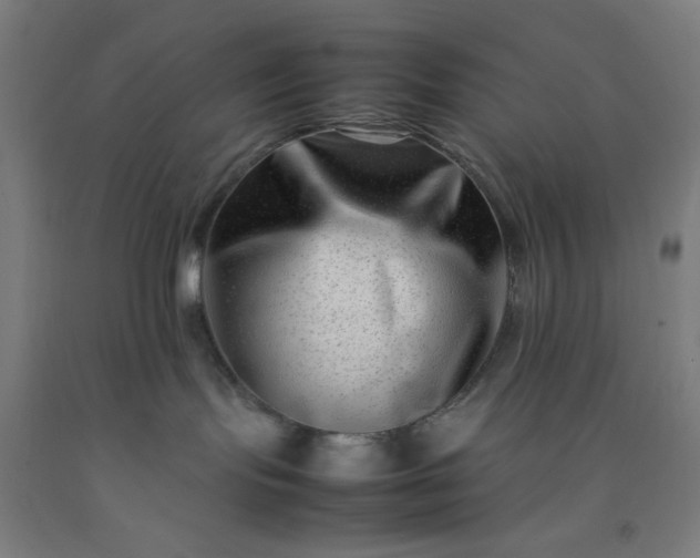 X0000092230095200709281113