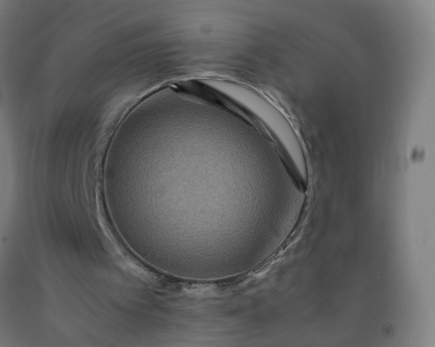 X0000092230097200709281112