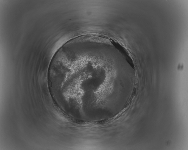 X0000092230099200709281112