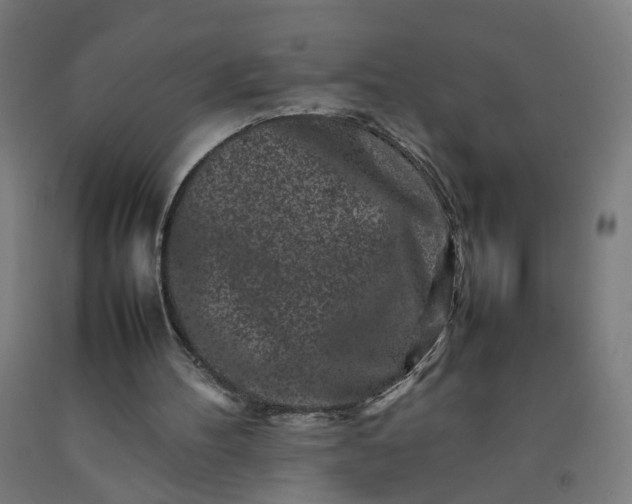 X0000092230100200709281112