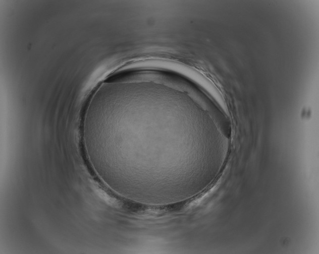 X0000092230101200709281112