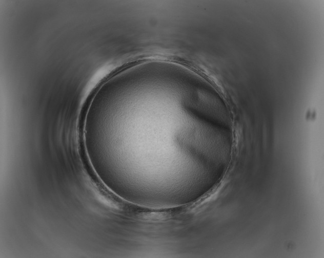 X0000092230102200709281112