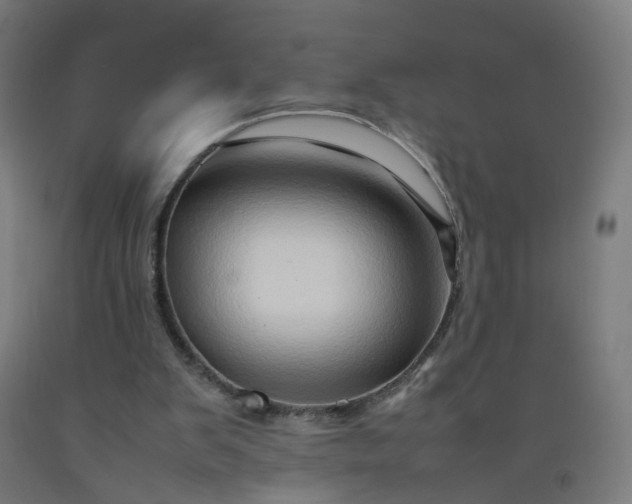 X0000092230103200709281112