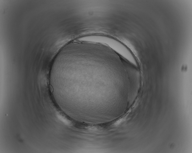 X0000092230105200709281112