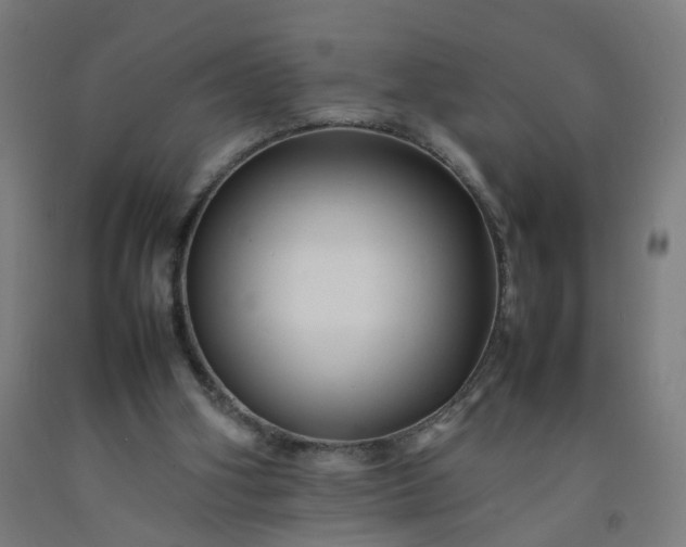 X0000092230106200709281112