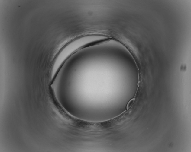 X0000092230107200709281112