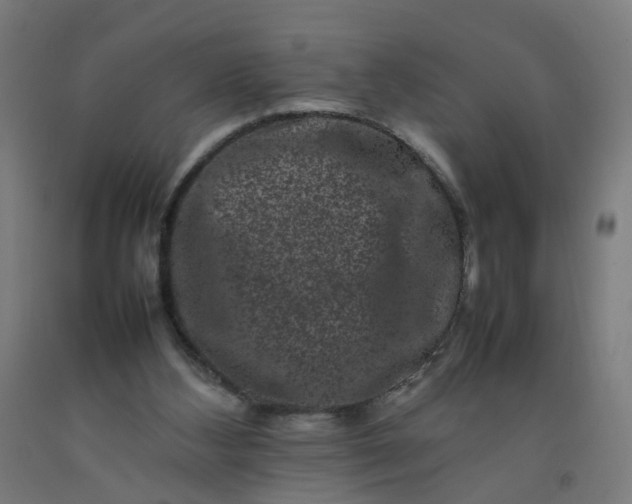 X0000092230108200709281112