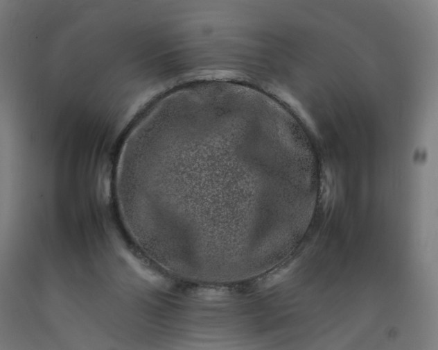 X0000092230110200709281112