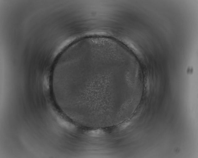 X0000092230112200709281112