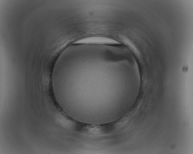 X0000092230113200709281112