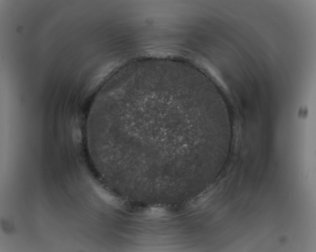 X0000092230114200709281112