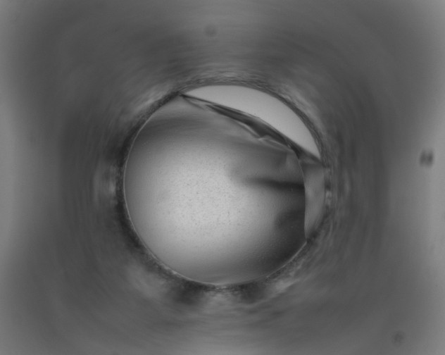 X0000092230115200709281112