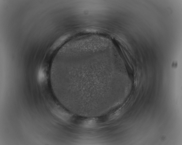 X0000092230116200709281112