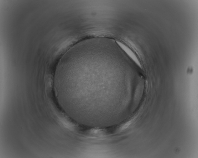 X0000092230117200709281112