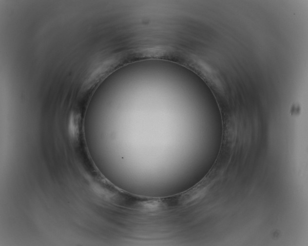 X0000092230118200709281112