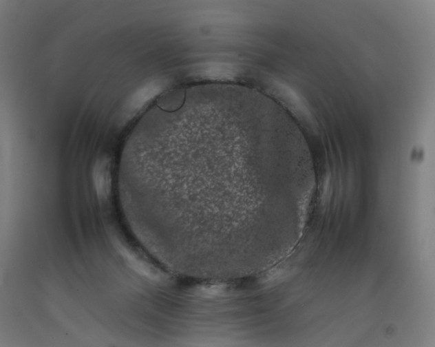 X0000092230120200709281112