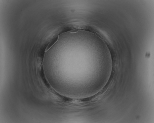 X0000092230121200709281112