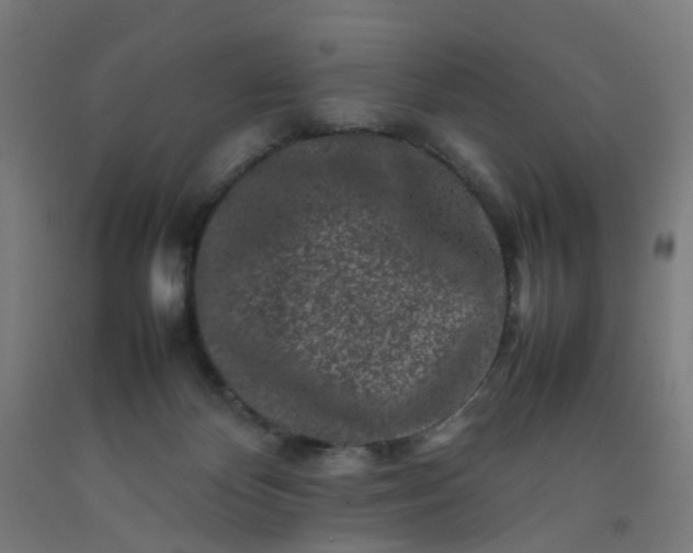 X0000092230124200709281112