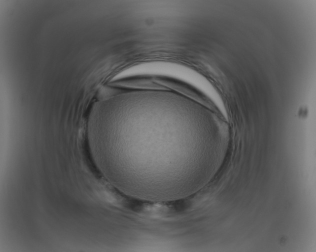 X0000092230125200709281112