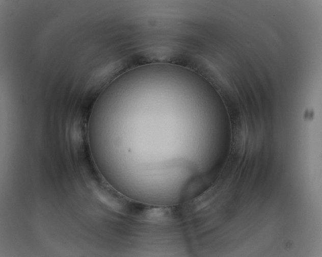 X0000092230126200709281112