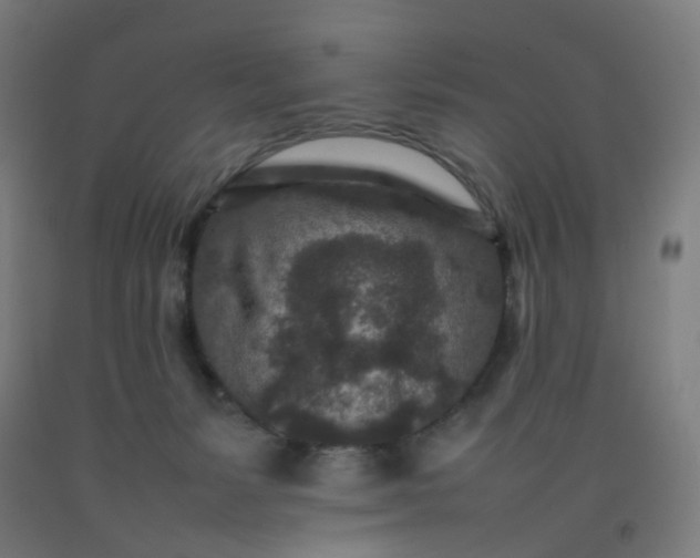 X0000092230127200709281112