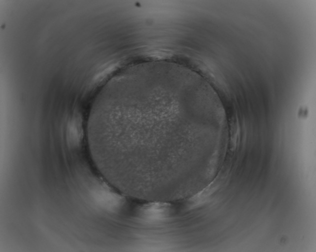 X0000092230128200709281112