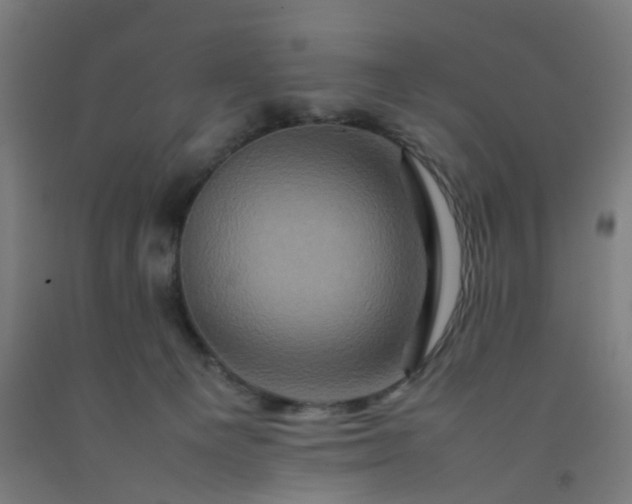 X0000092230129200709281112