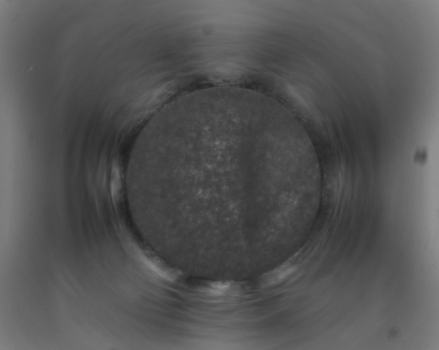 X0000092230130200709281112