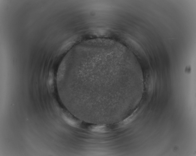 X0000092230132200709281112