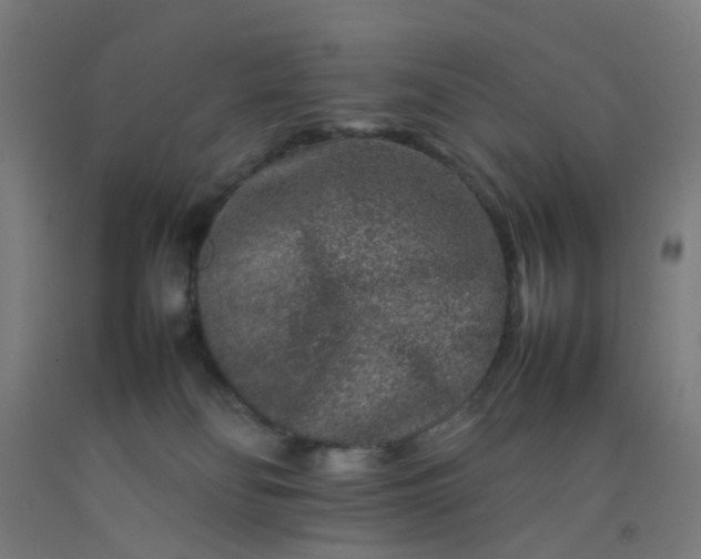 X0000092230134200709281112